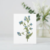 Redouté著commelina (Commelinaのtuberosa) ポストカード (スタンド正面)