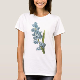 Redouté著hyacinth (Hyacinthus sp。) Tシャツ