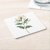 Redoute著jasminum grandiflorum スクエアペーパーコースター (アングル)