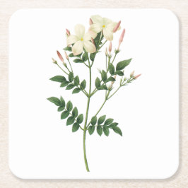 Redoute著jasminum grandiflorum スクエアペーパーコースター