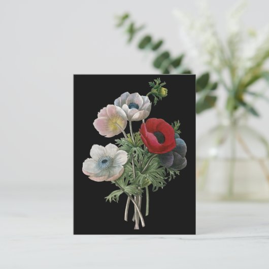 Redoute: Anemone, 1833 ポストカード (スタンド正面)