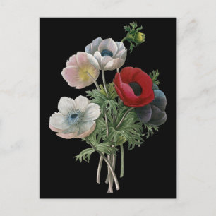 Redoute: Anemone, 1833 ポストカード