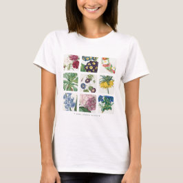 Redoute botanic  tシャツ