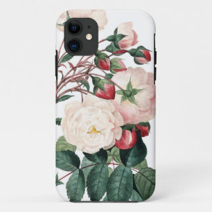 Redoute Lesのバラのヴィンテージのイメージのバラ iPhone 11 ケース