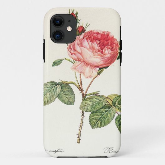 Redoute Rosa Centifolia （明るい） Case-Mate iPhoneケース (裏面)