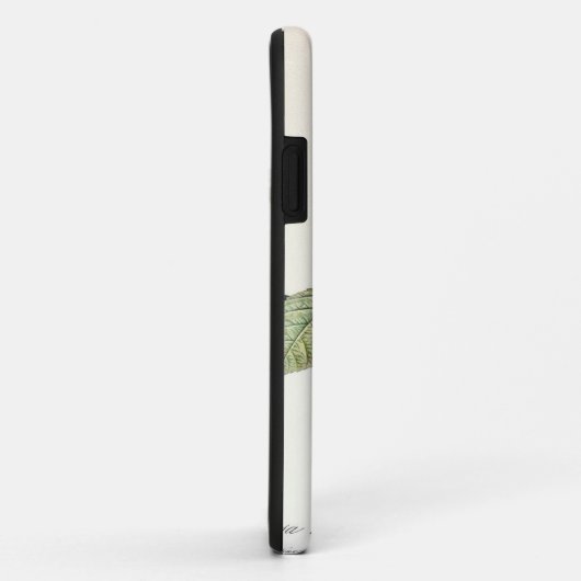 Redoute Rosa Centifolia （明るい） Case-Mate iPhoneケース (裏面/右)