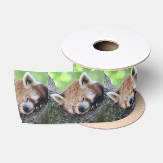 RedPanda20150705.jpg サテンリボン (リール)