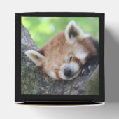 RedPanda20150705.jpg フェイバーボックス (上部)