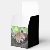 RedPanda20150705.jpg フェイバーボックス (オープン)