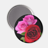 RedPinkTonedRoses2 マグネット (正面/裏面)