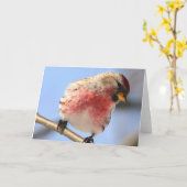 Redpollの挨拶状を傾けること カード (黄色い花)