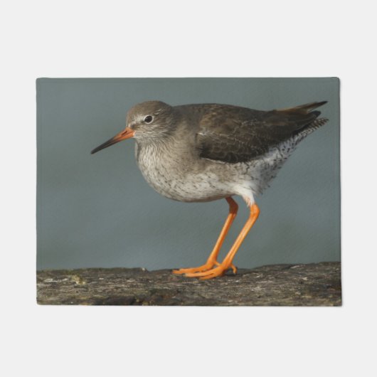 Redshank |のTringa Totanus ドアマット (正面)