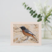 RedStart ポストカード (スタンド正面)