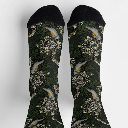 Redstarts in the chrysanthemums in green and white ソックス (上部)