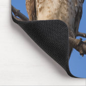 Redtailのマウスの監視 マウスパッド (コーナー)