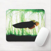 Redtail Golden Arowana マウスパッド (マウス)