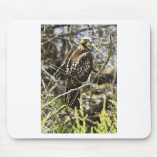 Redtailedのタカ マウスパッド