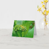 Reduviid暗殺者バグノートカード カード (黄色い花)