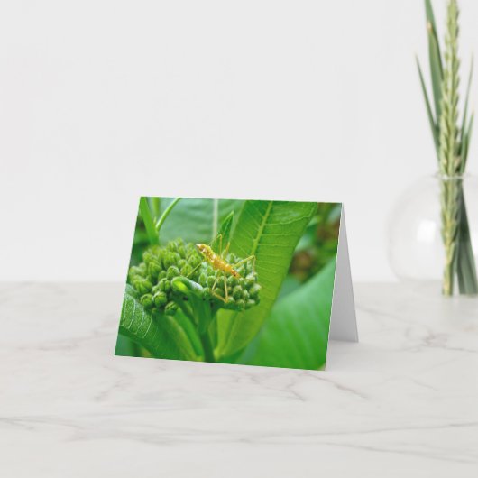 Reduviid暗殺者バグノートカード カード (正面)