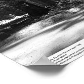 Redwood Forest、創業者のGrove、1966 ポスター (角)