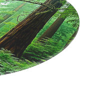 Redwood Forest Misty Tranquility Design カッティングボード (角)