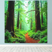 Redwood Forest Misty Tranquility Design キャンバスプリント (インサイチュ (ウッドフロア))