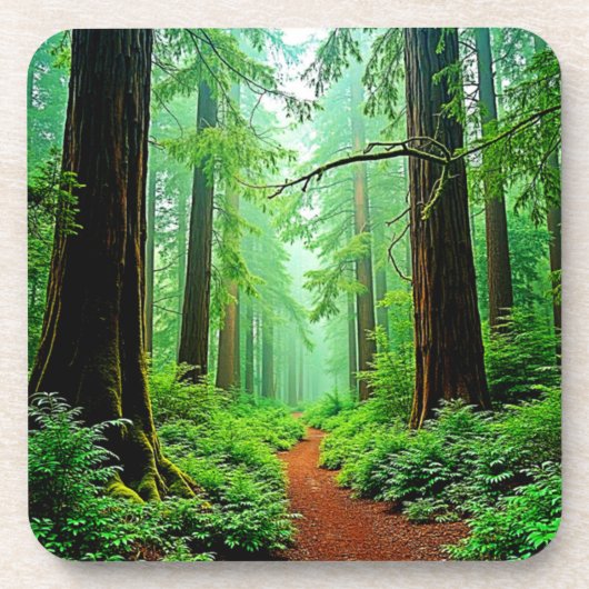Redwood Forest Misty Tranquility Design コースター (正面)