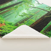 Redwood Forest Misty Tranquility Design シェルパブランケット (3/4)