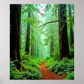 Redwood Forest Misty Tranquility Design ポスター (正面)