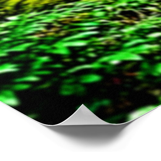 Redwood Forest Misty Tranquility Design ポスター (角)