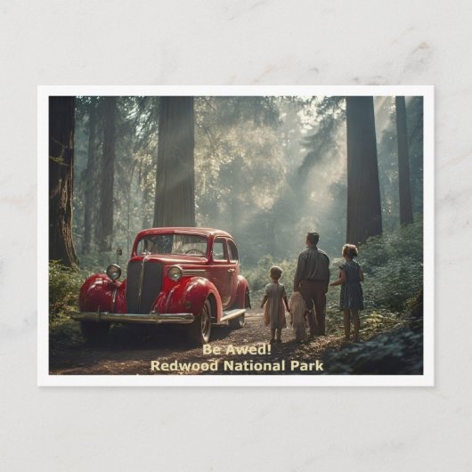 Redwood National Park - Be Awed - Travel Style ポストカード (正面)