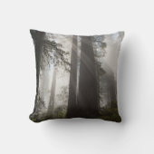 Redwood National Park California クッション (正面)