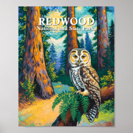 Redwood National Park Forest Owl Van Gogh Style ポスター