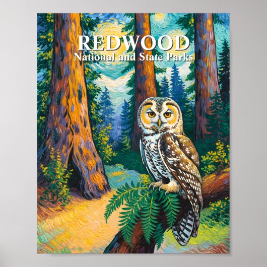 Redwood National Park Forest Owl Van Gogh Style ポスター (正面)