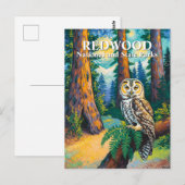 Redwood National Park Forest Owl Van Gogh Style ポストカード (正面/裏面)
