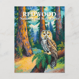 Redwood National Park Forest Owl Van Gogh Style ポストカード