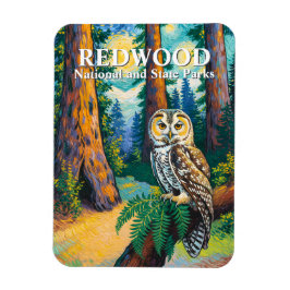 Redwood National Park Forest Owl Van Gogh Style マグネット