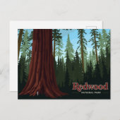 Redwood National Park Giant Tree Art ポストカード (正面/裏面)