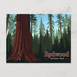 Redwood National Park Giant Tree Art ポストカード