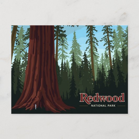 Redwood National Park Giant Tree Art ポストカード (正面)