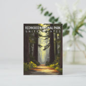 Redwood National Park Hiking Forest ポストカード (スタンド正面)