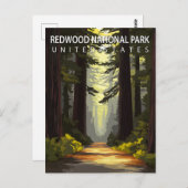 Redwood National Park Hiking Forest ポストカード (正面/裏面)