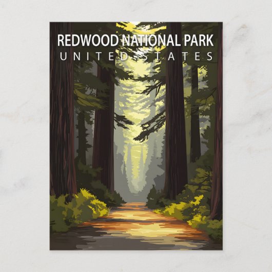 Redwood National Park Hiking Forest ポストカード (正面)