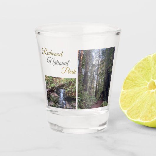 Redwood National Park Shot Glass ショットグラス (正面)