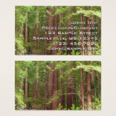 Redwood Trees at Muir Woods National Monument (正面&裏面)