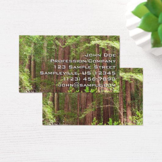 Redwood Trees at Muir Woods National Monument (デスク)