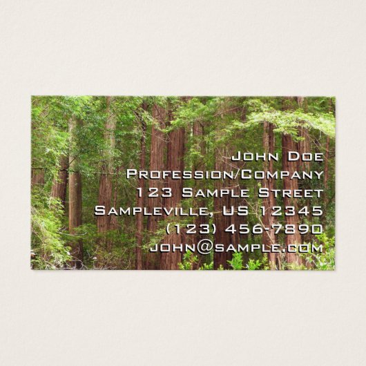 Redwood Trees at Muir Woods National Monument (正面)