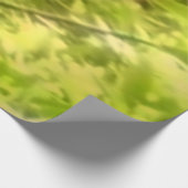 Redwood Trees at Muir Woods National Monument ウッドポスター (コーナー)