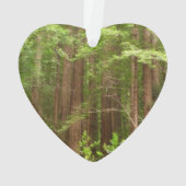 Redwood Trees at Muir Woods National Monument オーナメント (裏面)