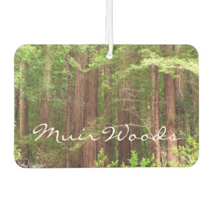 Redwood Trees at Muir Woods National Monument カーエアーフレッシュナー